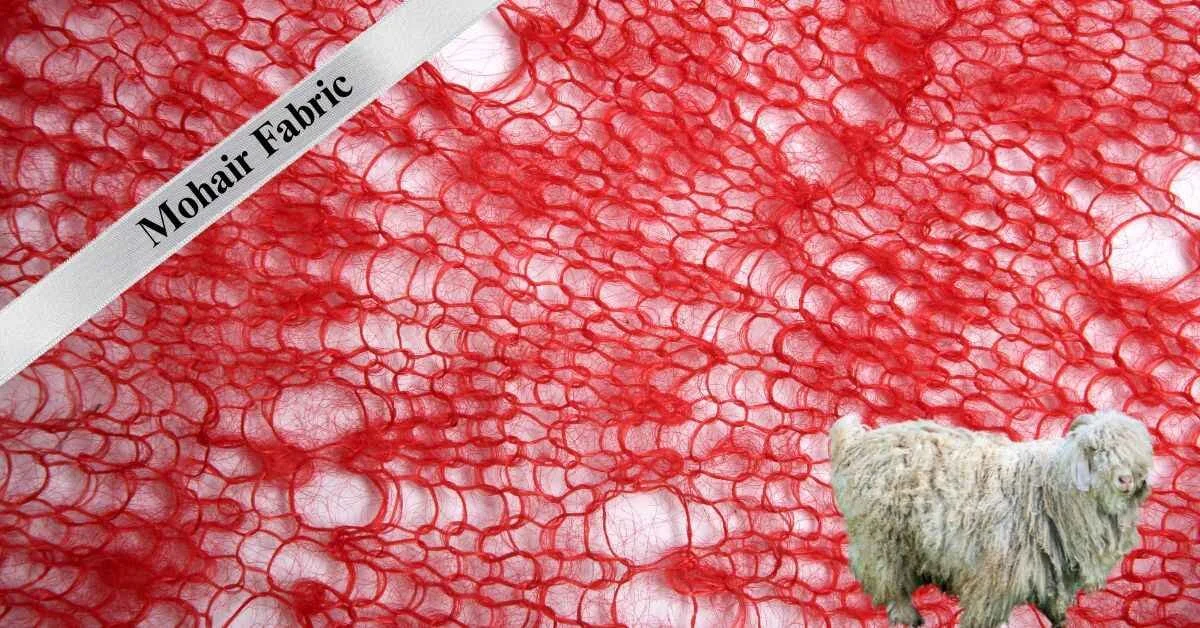 From Fiber to Fashion: Discover Mohair Mohair