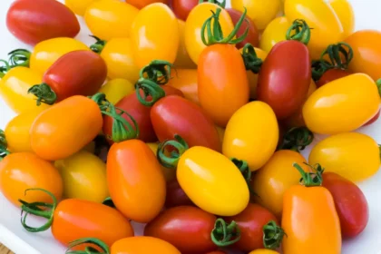 From Sauce to Salad: The Versatility of Plum Tomatoes