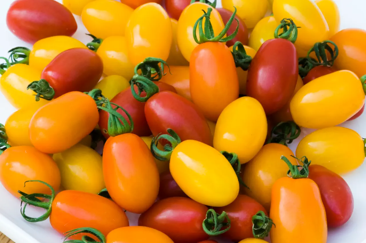 From Sauce to Salad: The Versatility of Plum Tomatoes