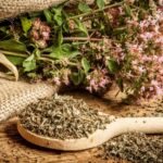 вранилова трава: Exploring Its Mystery and Traditional Value