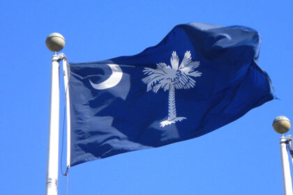 SC Flag: Insights into SC Flag Values and SC state History