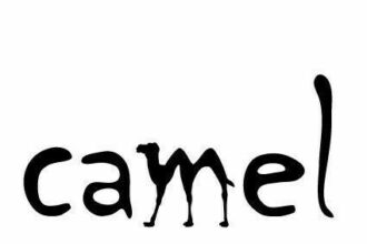 Camel Text: Everything You Need to Know