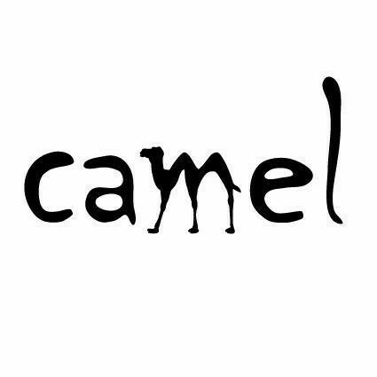 Camel Text: Everything You Need to Know