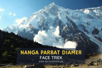 Diamir Nanga Parbat: A Complete Guide to Its History, Geography, Beauty, and Mountaineering Legacy