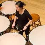 The Drums Timpani Guide