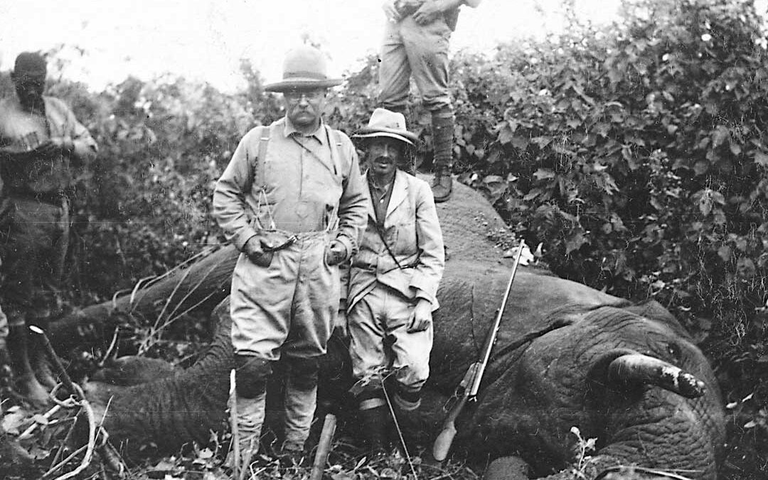 Elephant Rifle: How These Powerful Firearms Shaped Hunting History