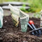 Kapitāls: Meaning, History, Types, and Importance in the Economy