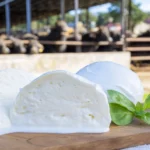 Mozzarella Cheese Buffalo: A Complete Guide to Its Origins, Flavor, Nutrition, and Culinary Uses