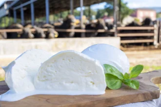 Mozzarella Cheese Buffalo: A Complete Guide to Its Origins, Flavor, Nutrition, and Culinary Uses