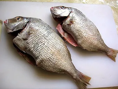 Porgy Fish Comprehensive Study: History, Species, Habitat, Flavor, Fishery, and Culinary Uses