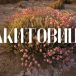 Everything About ракитовица: Cultural Background & Meaning