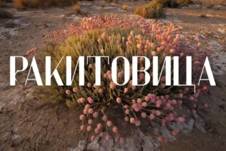 Everything About ракитовица: Cultural Background & Meaning