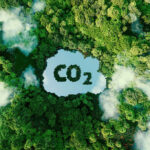 Understanding 碳中和: The Science Behind Carbon Neutrality and Climate Action