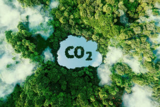 Understanding 碳中和: The Science Behind Carbon Neutrality and Climate Action